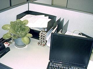my desk here at the office . . .